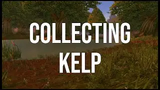 Collecting Kelp