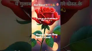 Happy Rose Day Best Friend 💝🌺💝💫