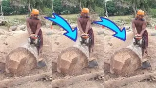 EXTREME PALM TREE REMOVAL! STIHL MS 070 Chainsaw VS Palm Tree 