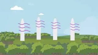 5 Eco Friendly Technologies That are Changing the Game