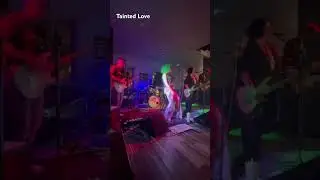 Tainted Love- Soft Cell/Broken Peach Cover #coverband #livemusic #drums #guitar #bass #singer #80s