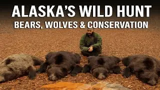 Alaska Wild Hunt: Brown Bears, Wolves & the Struggle for Survival | Epic Nature Documentary 4K
