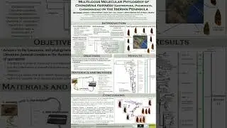 Multilocus Molecular Phylogeny of Chondrina farinesii (Pulmonata, Chondrinidae) in Iberian Peninsula