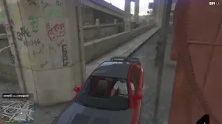 Zaann- Grand Theft Auto 5 Live