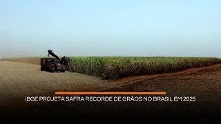 IBGE projeta safra recorde de gr&atilde;os no Brasil em 2025