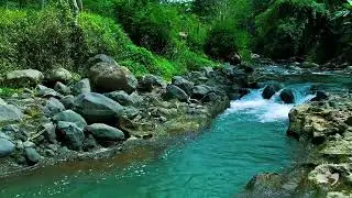 Peaceful River Bend Sounds | Slow Natural Water Flow Ambience for Night Sleep