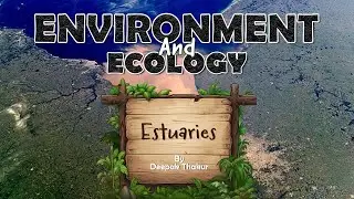 The Importance of Estuaries: Bridging Land and Sea | shorts |  #iascoachingchandigarh #education