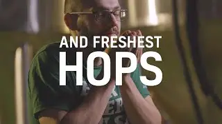 Dogma Brewery | Promo Video (by Bear Fruit Productions)