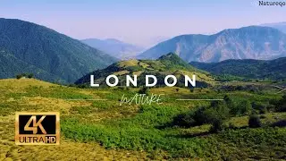 London&rsquo;s Hidden Nature | Calm Views from the Heart of the City | Natureqo