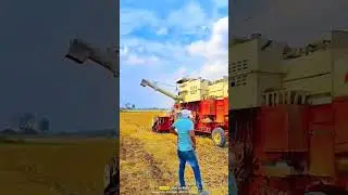 चना कटायी 🌾#farmers #agriculture #farming #farmer #farm #farmlife #tractor #india #farmersmarket #