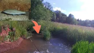Мормышинг,микро речка,в поисках окуня.