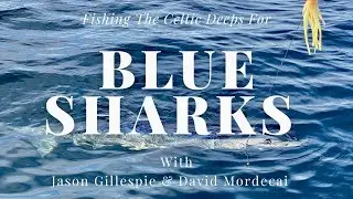 SHARK FISHING - DEEP SEA!! Very rare species caught