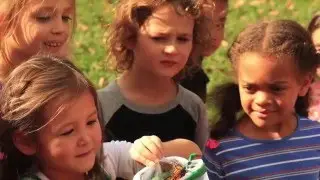 A message from Friends Council on Education
