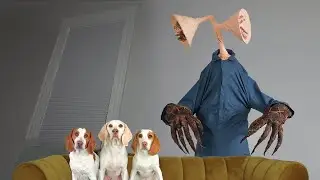 Can These Dogs Befriend Siren Head? Funny Dogs Maymo, Potpie, & Indie vs Siren Head Pranks