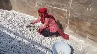 White Marble Pebbles Stone | Available on IndiaMART