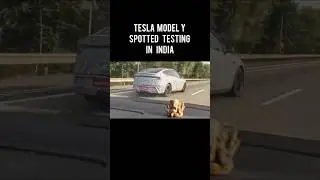 Tesla Model Y spotted testing in India 💥#tesla #teslaindia