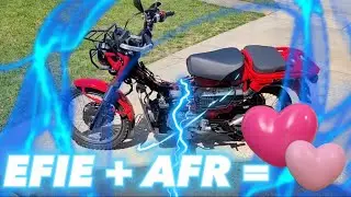 CRAZY EFIE device for the Honda Trail 125. Super cheap fuel controller solution WILL IT WORK? Part 2