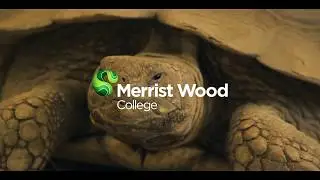 Luke Gates-Roberts talks about Merrist Wood College