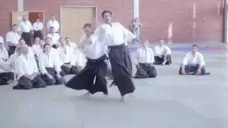 Shihan Christian Tissier in Shin Dojo Aikido Club, Poznan /Poland