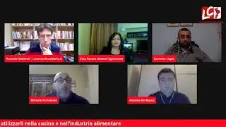nonsoloerbe: Funghi di Calabria