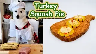 [Homemade Dog Food] Easy & Healthy Turkey Squash Pie for dogs