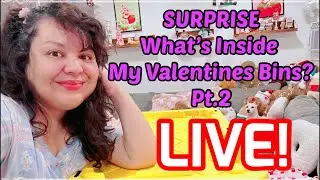 ❤️SURPRISE LIVE! What&rsquo;s Inside My Valentines Bins. Pt.2