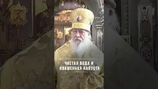 Чистая вода и квашенная капуста / Подписывайтесь на Telegram @BishopAugustine, ссылка в описании