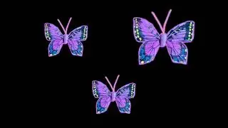 The Purple Book