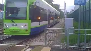 Trams at BEDDINGTON LANE