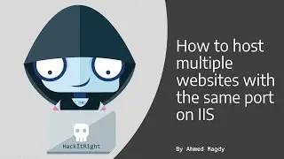 Arabic - Host multiple websites with the same port on IIS