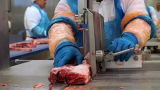 IB-Solutions B.V. BladeStop&trade; A Key Part of Bandsaw Safety for Industry Leading Meat Company