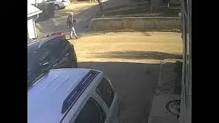TRASH DUMPING GUY