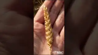 3 февраля 2026 г.