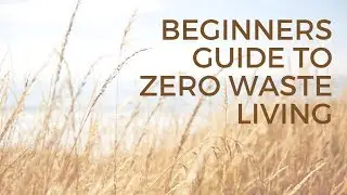 Beginners Guide to Zero Waste Living