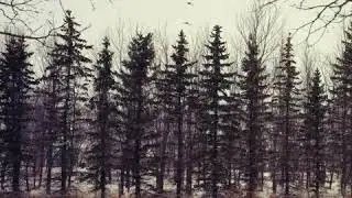 NeblinuM -  01-Sad and Beautiful Rain