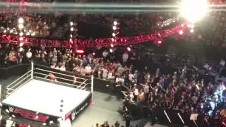 Roman reigns attacks triple h