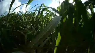 ida f1 drone