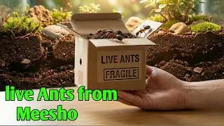 Malayalam Unboxing of dryfruits mix (1kg and 5+ dryfruits) from meesho EP 126