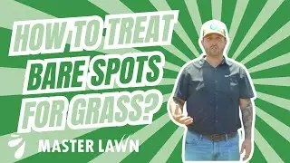How to Fix Bare Spots in Your Lawn: Tips for Memphis & Northern Mississippi