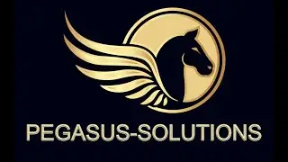PEGASUS SOLUTIONS, @pegasus-solutions