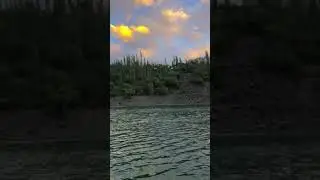 Nature Videos 4k | Ultra HD Nature Videos 4k | Nature 4k Ultra HD video | Vertical video 4k Nature