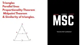 Triangle Geometry Grade 12 summary | Prop Theorem & Similarity.
