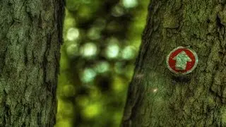 Beachfront B-Roll: Trail Marker HDR (Free to Use HD Stock Video Footage)