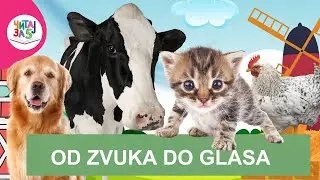 LATINICA: Od zvuka do glasa – razvoj govora i predčitalačkih veština kod dece