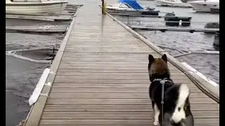 Adventure boi