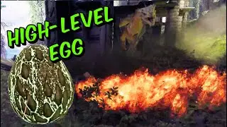 I Knocked Out a Wyvern & Raised a Poison Wyvern from a High-Level Egg on Astraeos! 🐉✨