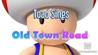 Old Toad Road (Original)