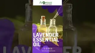 Lavender Essential Oil Suppliers- Aromaaz International