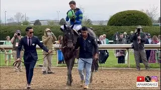 2023 Champion Female Sprinter Goodnight Olive: All Footage from His Eclipse Award Winning Season