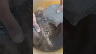 Asmr: Sand cement crumbling in lots of water #asmr #sandcement #charcoalashes #satisfying